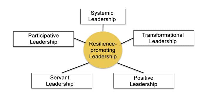 Leadership concepts influencing resilient leadership according to Rolfe (2019)