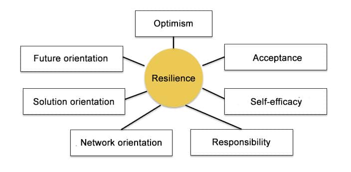 7 Resilience keys according to Heller (2012)