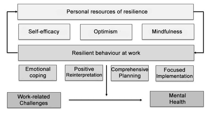 Resilience model for work according to Soucek et al. (2016)