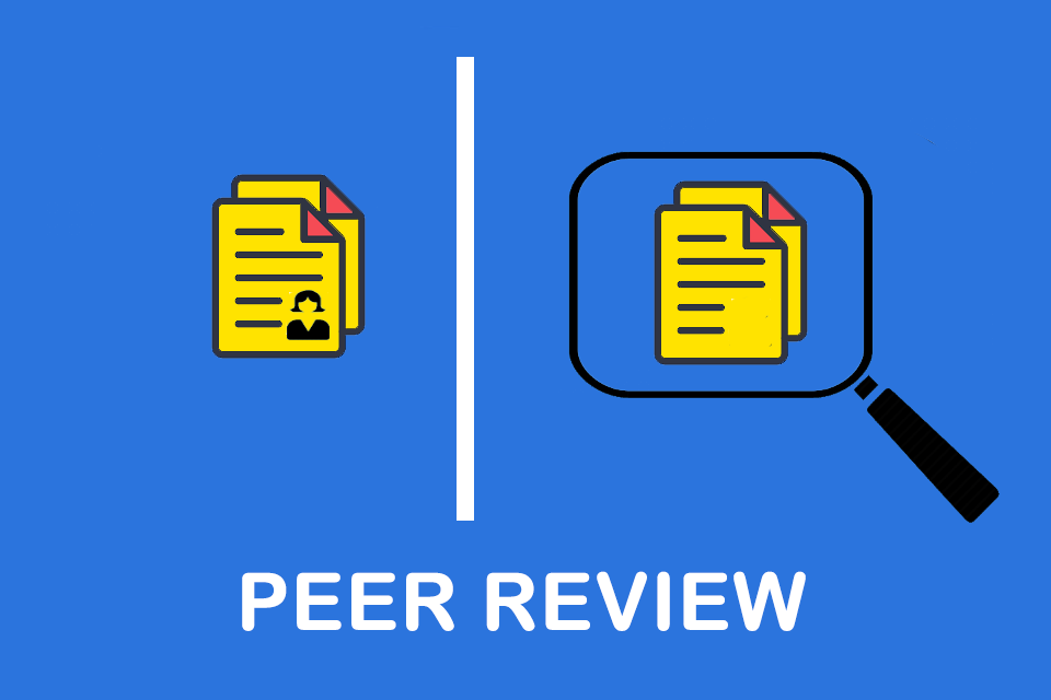 Peer review - the assessment of works by equal persons with expertise