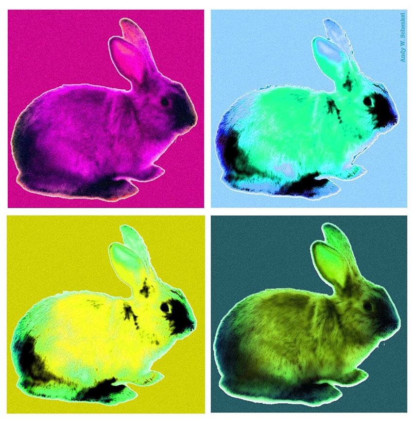 Andy Warhol - Art meets Easter Bunny