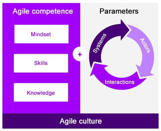 The basic building blocks for agile culture development