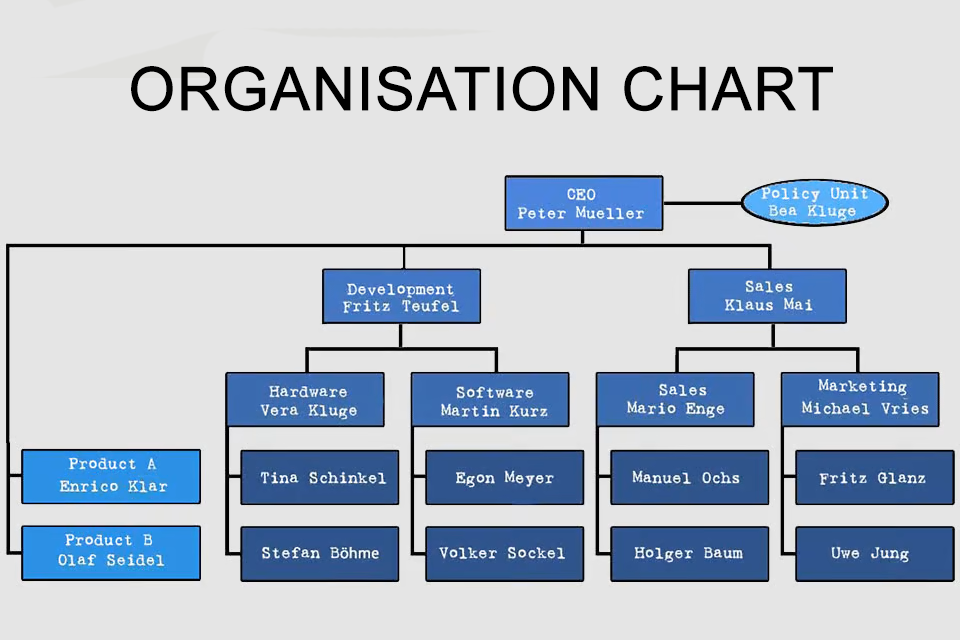 Organisation Chart - the representation of organisational structures