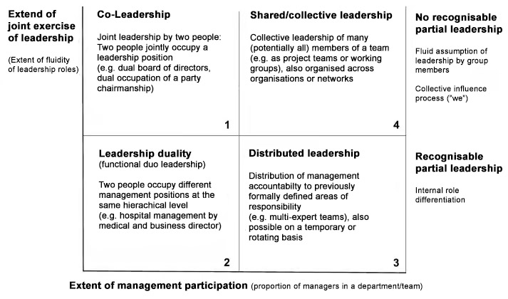 Forms of plural leadership