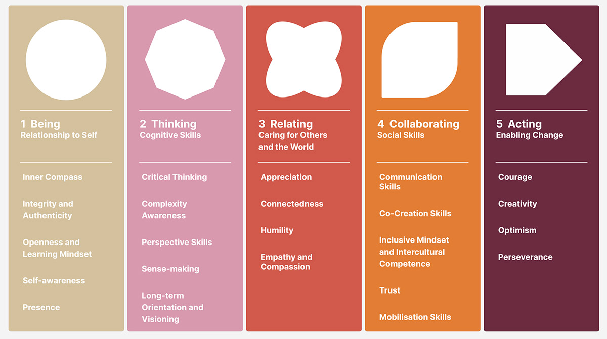 5 Categories of the IDG Framework