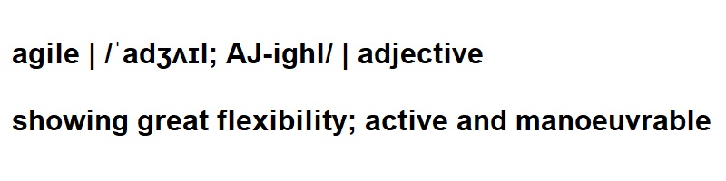 agile as adjective - real agility is recognised by the small ‘a’