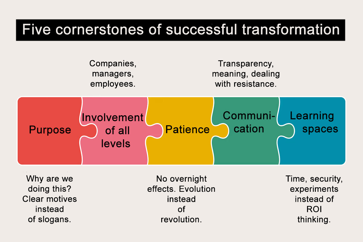 Five cornerstones of successful transformations