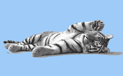 Servant leadership under the microscope