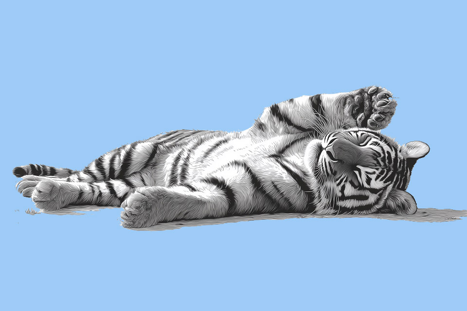 t2informatik Blog: Servant leadership under the microscope