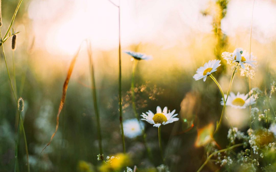 Tipps zu Spring Async – Teil 3