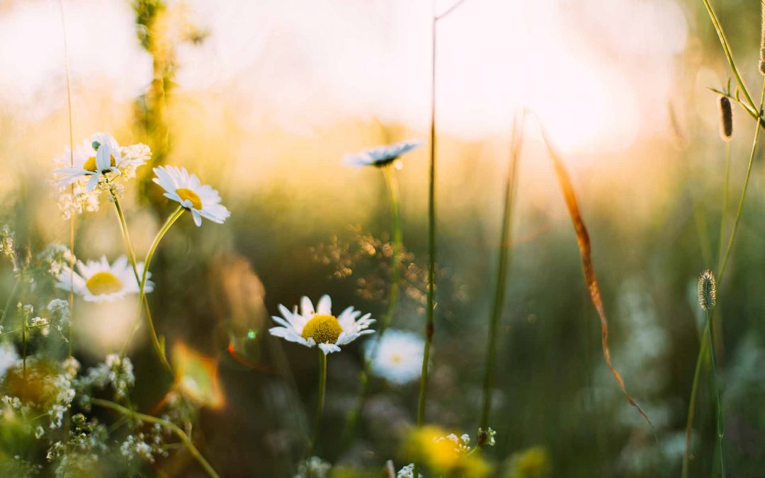 Tipps zu Spring Async – Teil 2