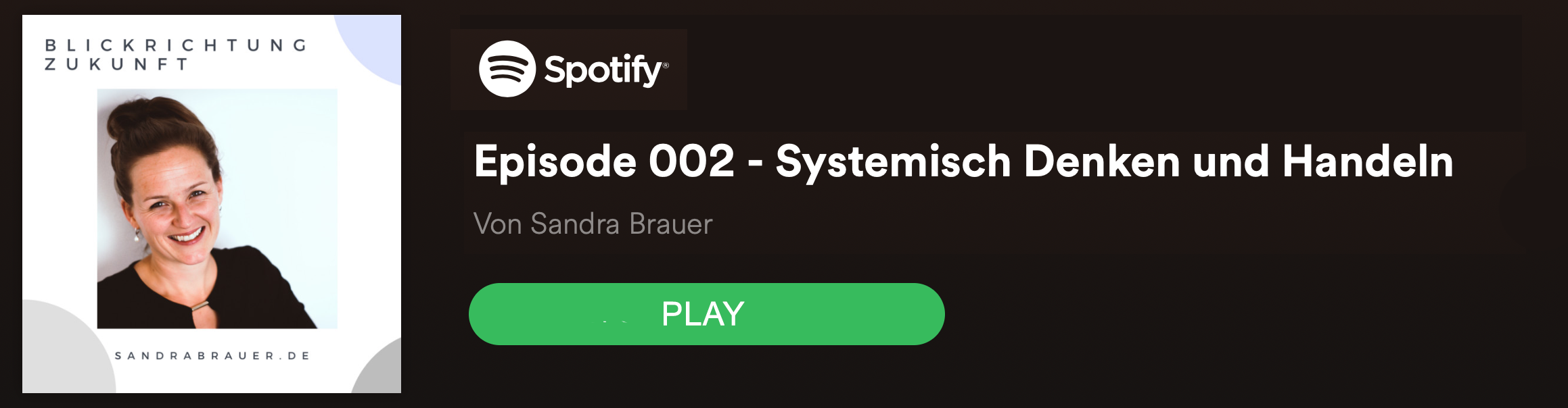Podcast Systemisch denken - Blog - t2informatik