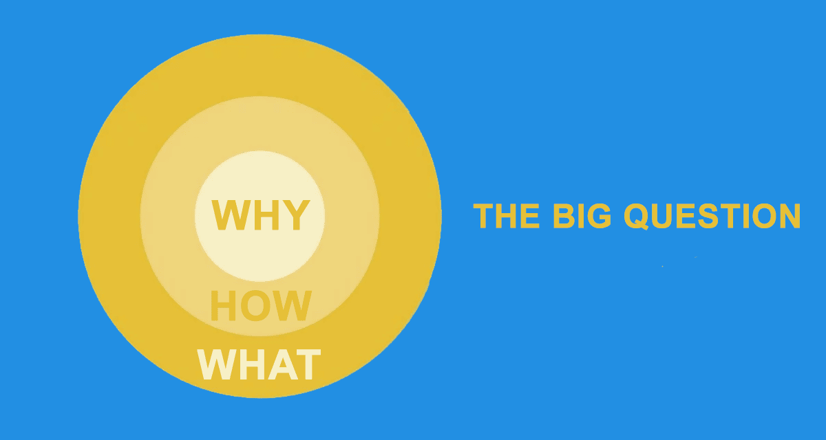 Why - the big question