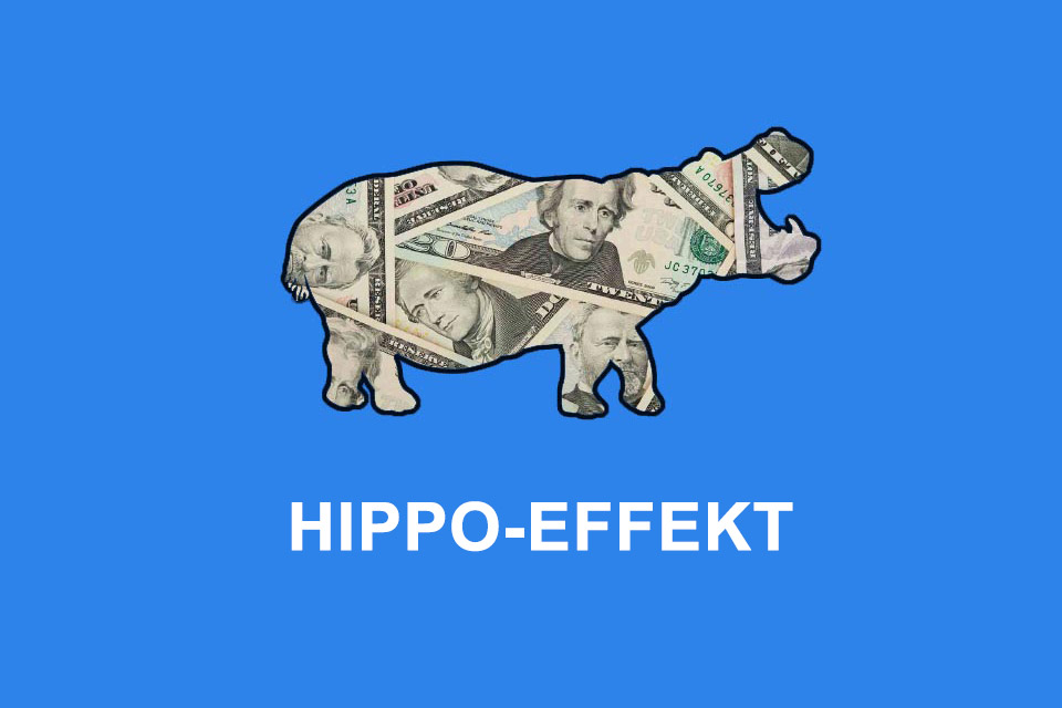 HIPPO-Effekt - die Meinung der bestbezahlten Person findet mehr Beachtung