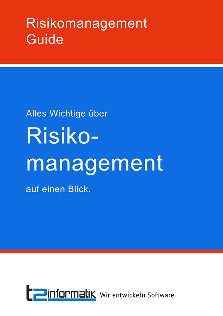 Risikomanagement Guide Download