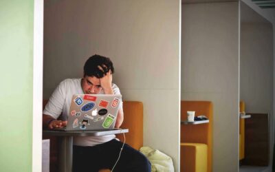 Faktoren der Softwareakzeptanz